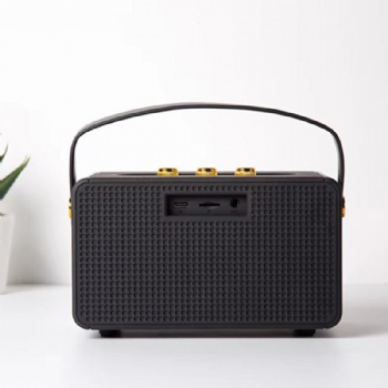 Marshall-Type Bluetooth Speaker