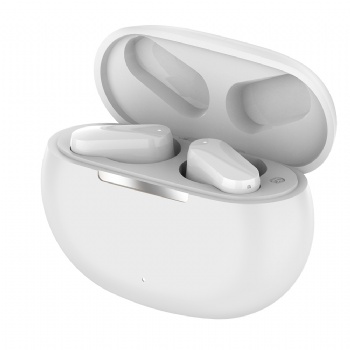 Hi-Sound Bluetooth Earphones