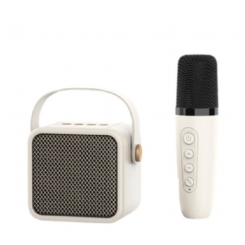 Marshall-Type Bluetooth Speaker with Mricophone