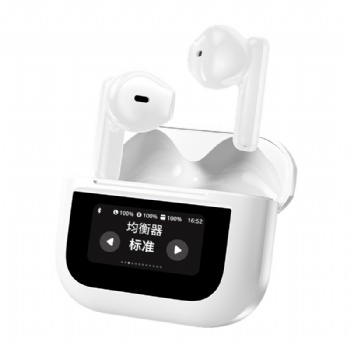 ANC+ENC TWS Earphone with Screen