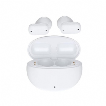 TWS Earphone w/ Dual Microphones