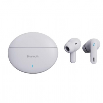 HiSound Noise Cancelling Wireless Earphone